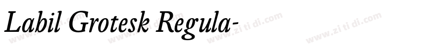Labil Grotesk Regula字体转换
